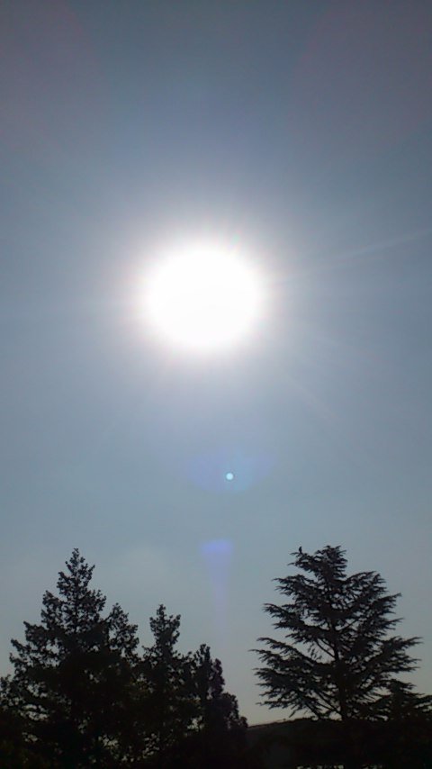 相互フォロー大歓迎です♪
宜しくお願いします(^-^)