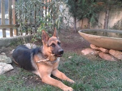 bubasernes's profile picture. Que tus palabras sean mejores que el silencio.
Progresía = hipocresía.
🇪🇸