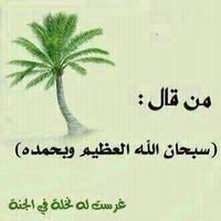 لااله الا الله محمد رسول الله، ،