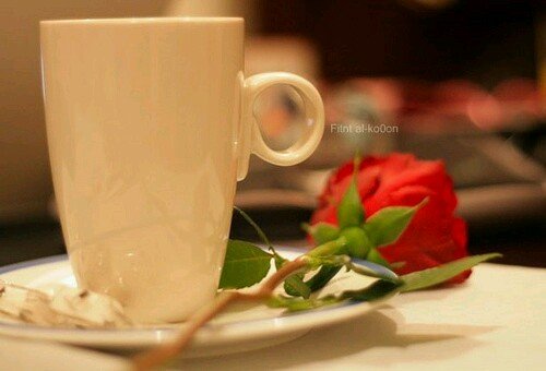 ‏مجَرد ﺎبتسامہ وقلب نظِيف ، 
     ونفس سموحَہ هَكذا تعيش 
          جَمال ﺎلحُياةَ' (ن`ا`ف`ع`♥)