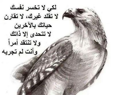 عّرًاقًيّ  ابُؤٌ الُغًيّرًهّ ِ