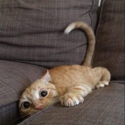 jeamsf91's profile picture. 