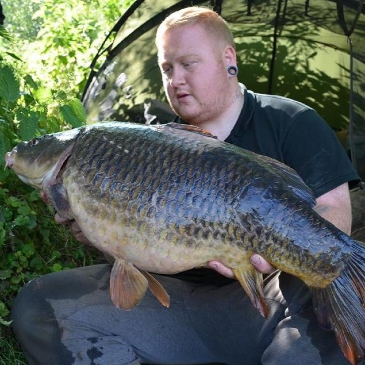 Experts in #carp #barbel #bait and #bolies. Developed on the mighty Rriver Trent. Nottingham, UK