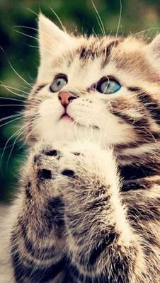 Ola Ke Ase^-^ siganme porfis