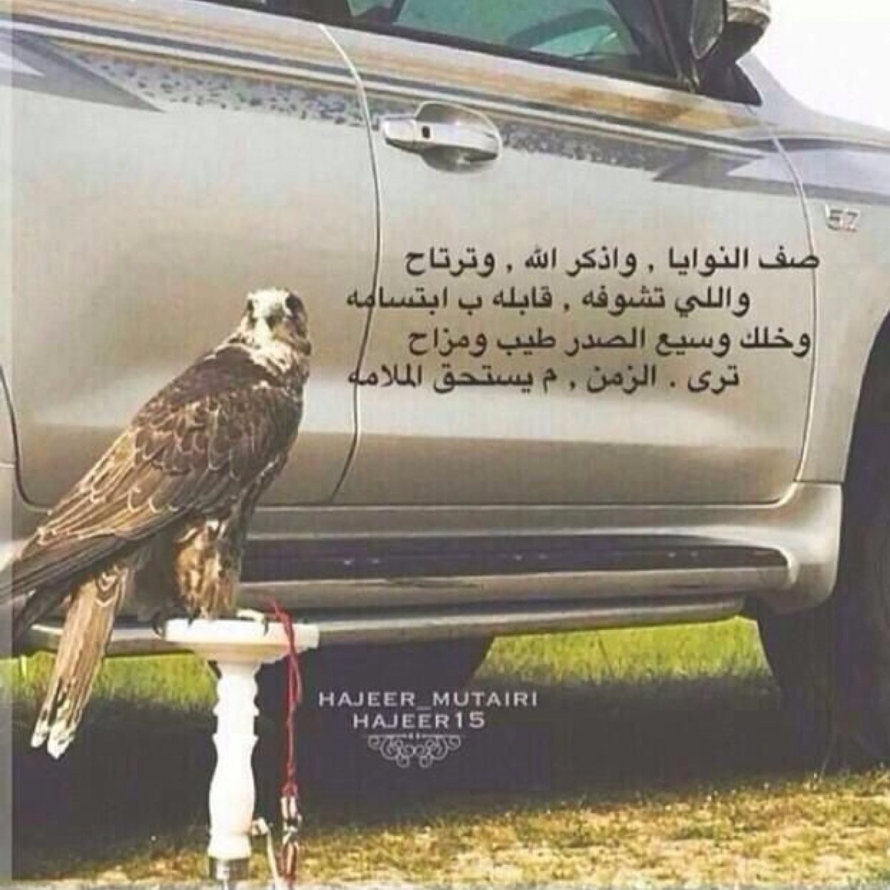 bbdddrr's profile picture. عنصري في الحرس الوطني السعودي .خريج جامعة ﻷمام محمد بن سعود تخصص .إدارة اعمال في يميني بندقي .وفي يساري قلمي ✏