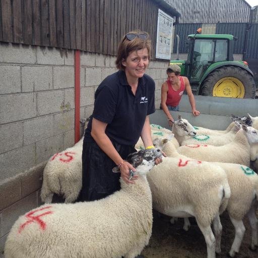 Want to know what an independent sheep and beef consultant does?  I will try and explain. One of the organisers of Carbon Calling conference @carboncallfarm