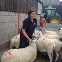 Liz Genever (@lizgenever) 's Twitter Profile