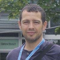 Coordinador tecnológico/Jefe de proyectos/Consultor Opentext para Entelgy
