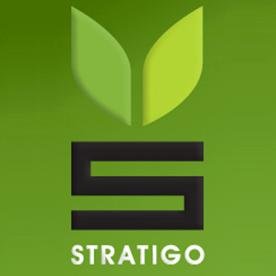 Stratigo delivers complete branding and design solutions for global brands