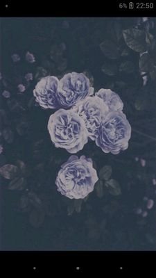 18 -