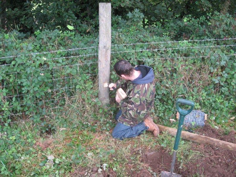 MackenburghAlan's profile picture. love working outdoors, animal lover especially dogs.
Enjoying life livening life on life terms