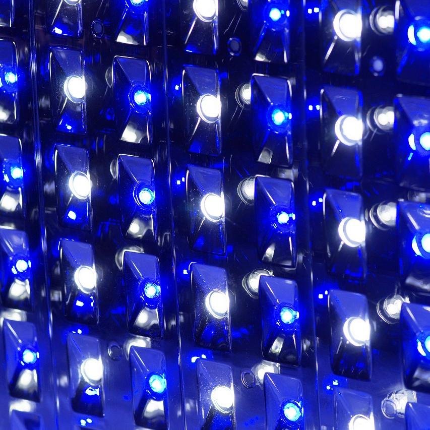 MaxLumen_DE's profile picture. MaxLumen ECO Marine - LED Meerwasser Beleuchtung