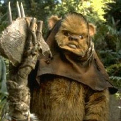 theguykoi's profile picture. FOLLOW NEW ACC @NexusHunt