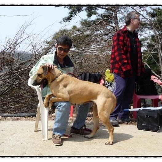 autojane's profile picture. 동물보호명예감시원 연합 구성원.
동물을 이용하여 불법행위 하는 무리를 적발.고발함