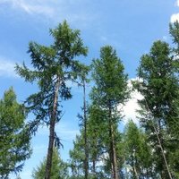 Tsend Sandagochir (@tsendts) 's Twitter Profile