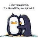 Jacqui Cook - @thecooks21 - Twitter