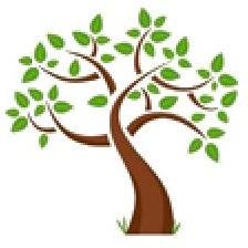 BootsTrees's profile picture. Boots Tree Services is a friendly and professional company offering domestic and comercial, tree surgery and consultancy across the Gold Coast and Tweed