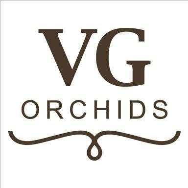 VGOrchids