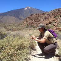 Sharon Backhouse(@GeoTenerife) 's Twitter Profile Photo