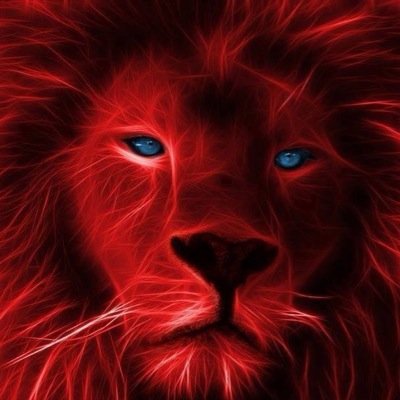 fevah_sosic's profile picture. 