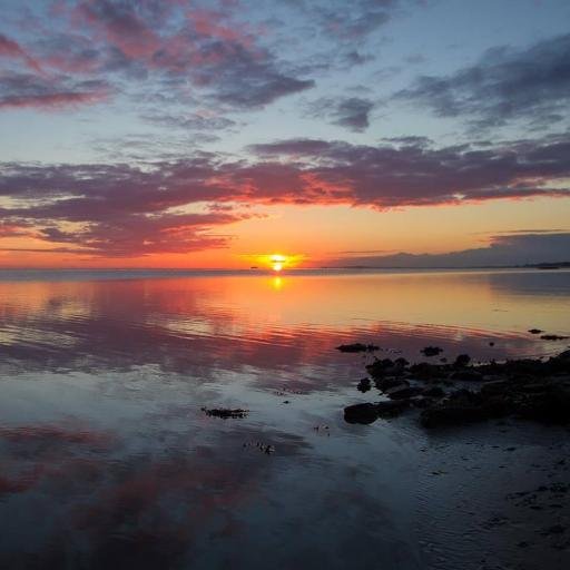 - DE ZEE KUST TERSCHELLING - VOOR DE LIEFHEBBER @DEZEEKUST - FB https://t.co/Z73Phvyxm2…