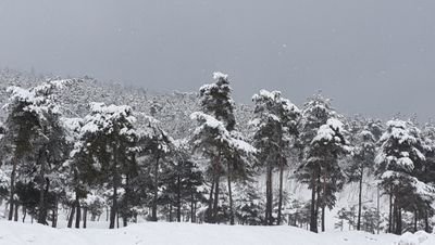 crstm2's profile picture. 