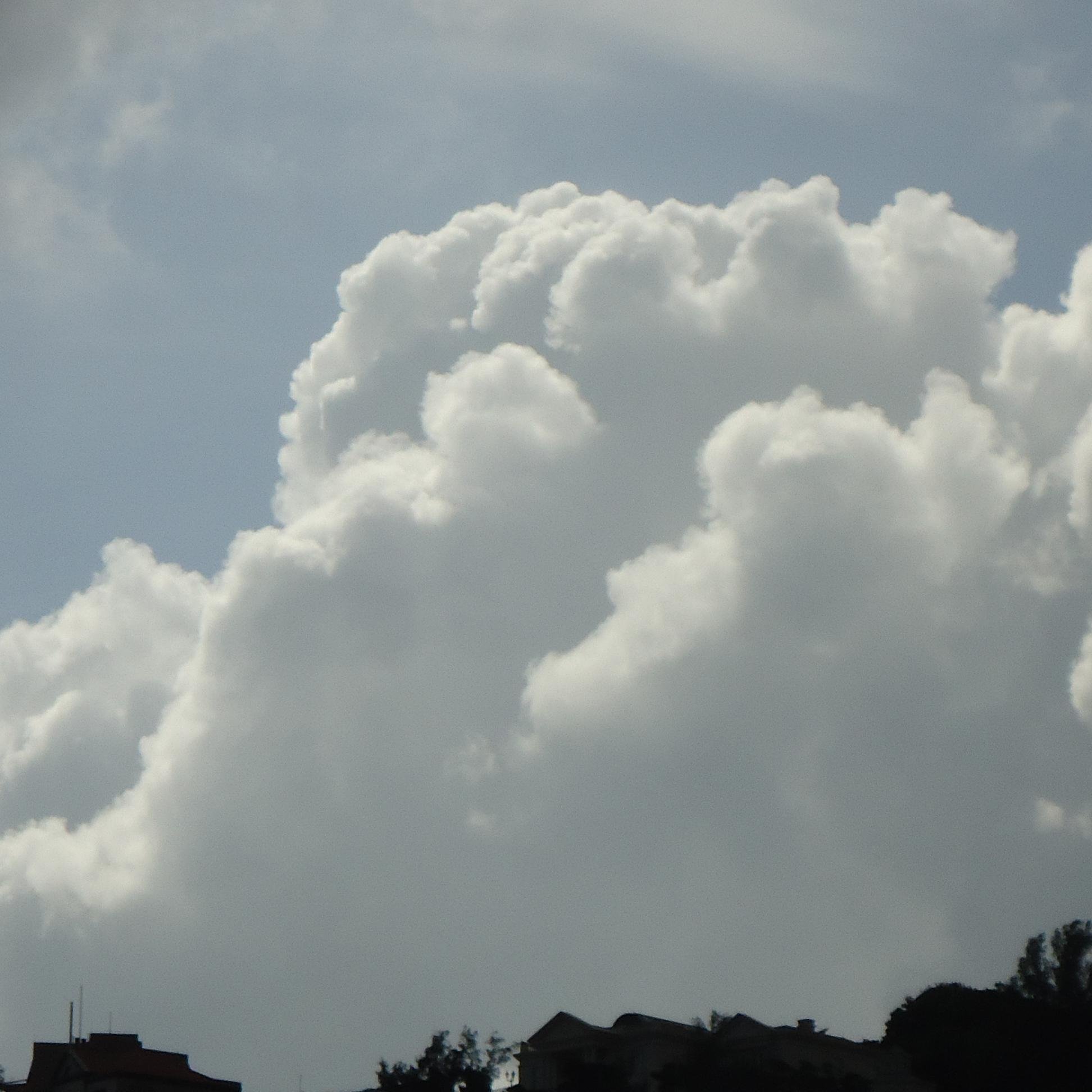 disturbthewar's profile picture. 