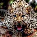 colorado 58 (@58_colorado) Twitter