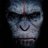 RotaHardkore's profile image
