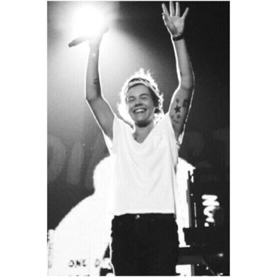 free follow from @bostonlwt