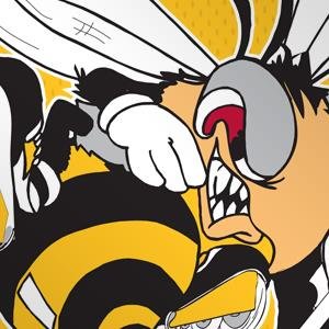 The official twitter account of the Hallamshire Hornets inline hockey team.