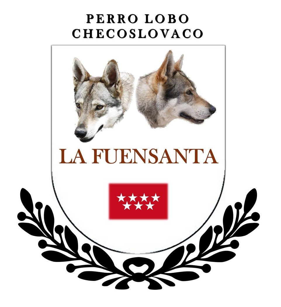 Criadero La Fuensanta. Nos dedicamos exclusivamente al perro lobo checoslovaco desde 2008. Estamos ubicados en Madrid.
