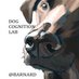 Dog Cognition Lab (@dog_cognition) Twitter profile photo Dog Cognition Lab (@dog_cognition) Twitter profile photo