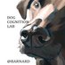 Dog Cognition Lab (@dog_cognition) Twitter profile photo