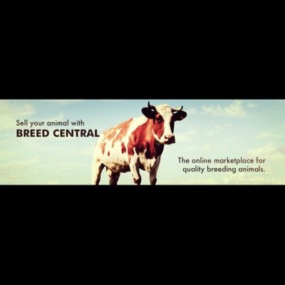 Breed central is a online market place for breeding animals find animals in your area or have buyers find you