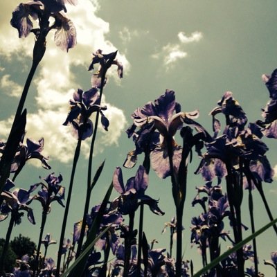 WPS_SSW's profile picture. Winchester Public Schools Student Support Specialist and Homeless Education Liaison