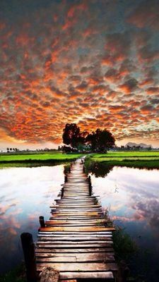 itrandomvibes's profile picture. Fuck a bio.