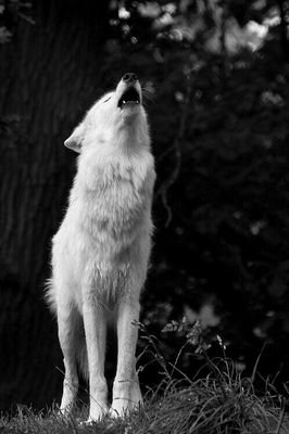 modee13500m's profile picture. ‏‏‏‏‏‏‏‏‏‏‏الحساب مقفل