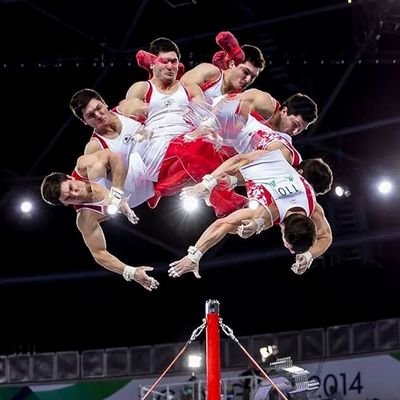 National team gymnast from Stoney Creek, ON. 6x worlds team member, 12 Olympic alternate, 14 Commonwealth Games medalist, 15 Pan Am Games medalist.