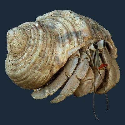 strandguide's profile picture. 