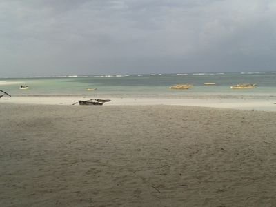 zaydwadee's profile picture. 