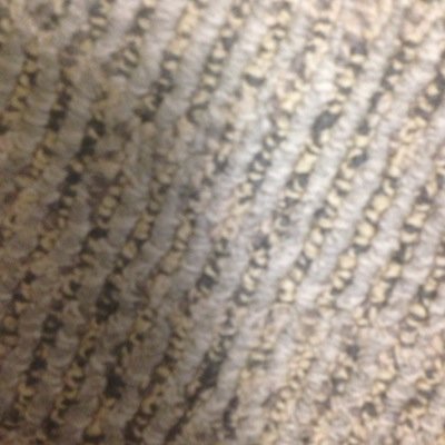 ShitDaveJohnSay's profile picture. 