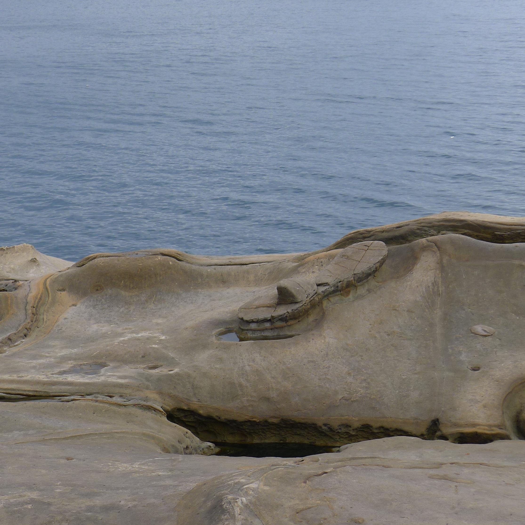 ph556625's profile picture. 