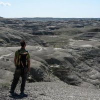 Hans Larsson (@evodevoeco) 's Twitter Profile