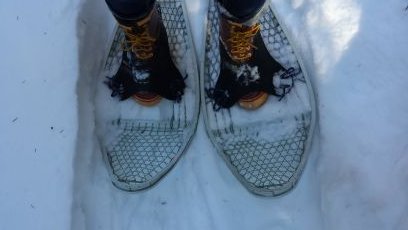 cjbergan's profile picture. Garden Salsa. Steam Engines. Black Coffee. Bicycle Touring. Cooperatives. Conceptual Art. Made w/o Wheat, Casein or Corn.