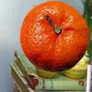 TT_BookClub's profile picture. Travelling Tangerine Business Book Club
Meetings on last Monday of the month (7pm-9pm) at Virgin Active, Hamilton, South Lanarkshire