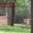 Marina Wilhelm - @WilhelmMarina - Twitter