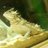yu_f_show's profile image