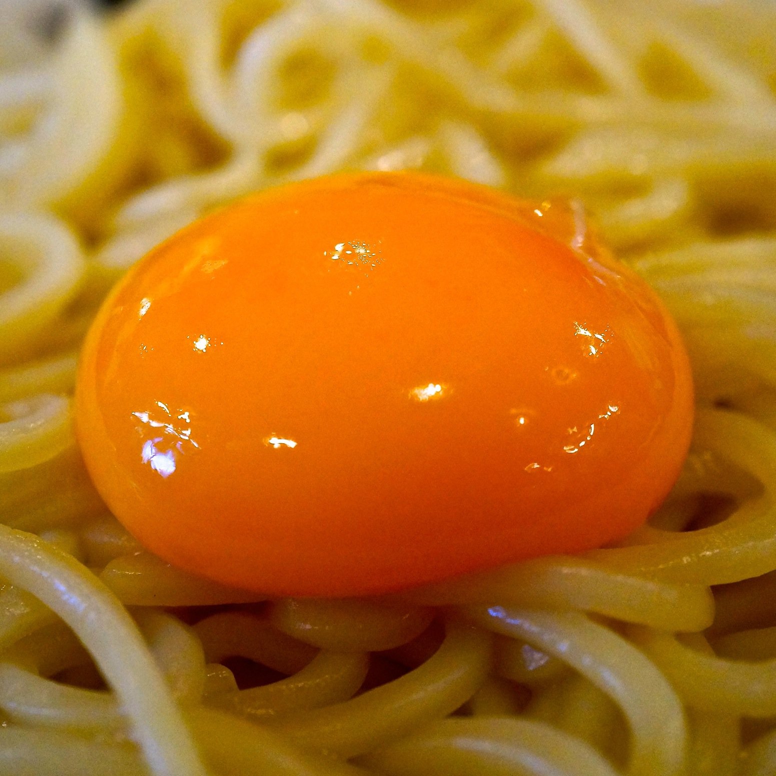 っ 子 甥 徳光