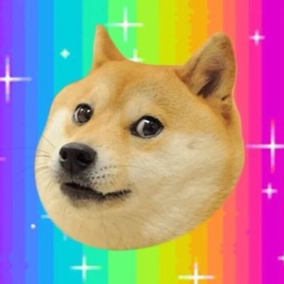 Such dog much wow